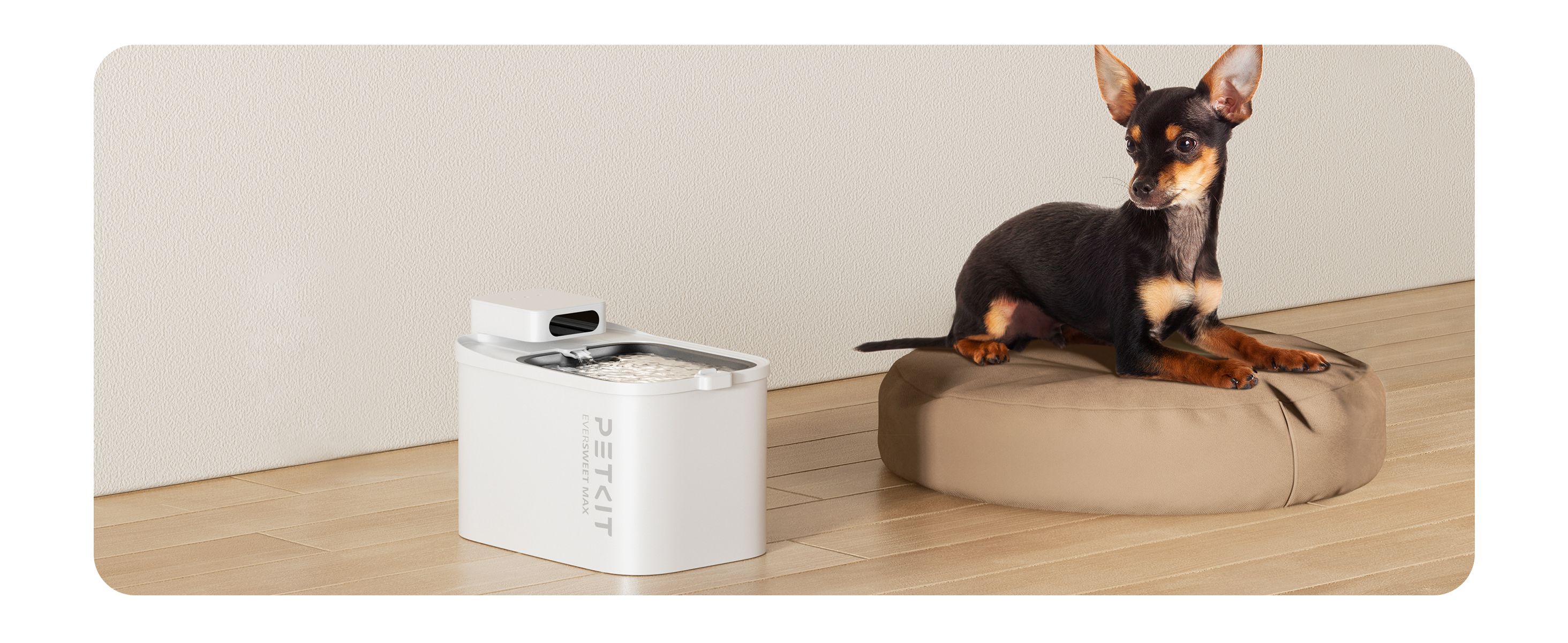 Amazon | PETKIT 自動給水器 猫 犬用 コードレス 静音ポンプ ペット